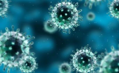 Алгоритм дій у випадку COVID -19