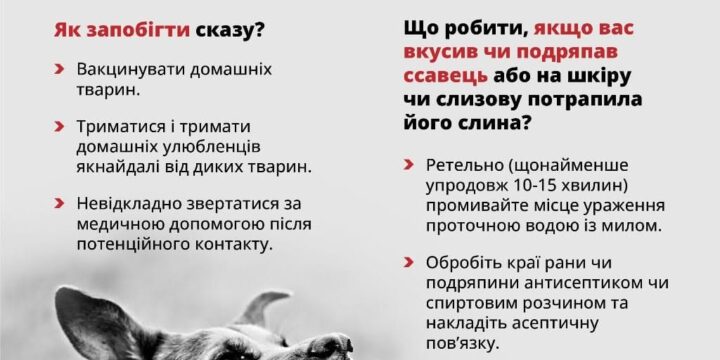 Сказ: що робити людині для профілактики захворювання та як діяти в разі інфікування вірусом