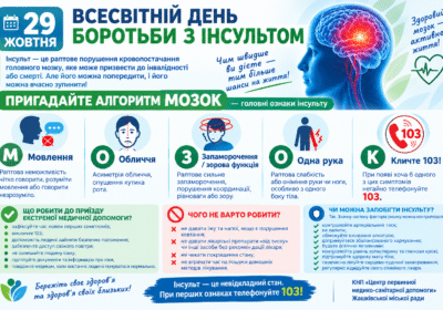 29 жовтня — Всесвітній день боротьби з інсультом